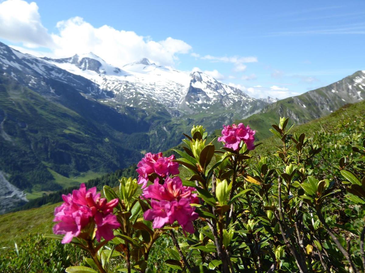 Alpenrose Tuxアパートメント エクステリア 写真
